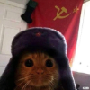 KGB Agent Capitol  Cat