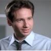 Mr Fox William Mulder